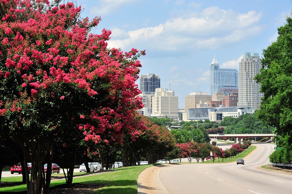 Raleigh, NC
